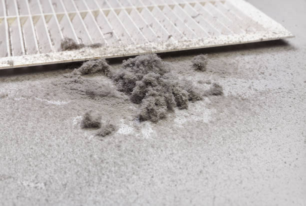 Best Affordable Air Duct Cleaning  in Booneville, MS