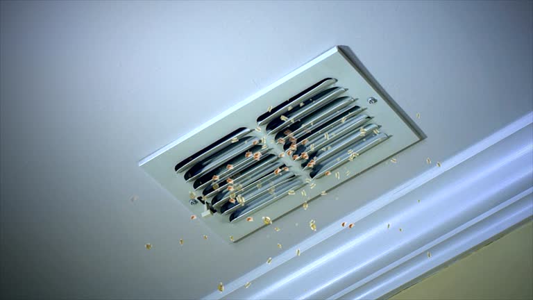Best Air Duct Cleaning Near Me  in Booneville, MS
